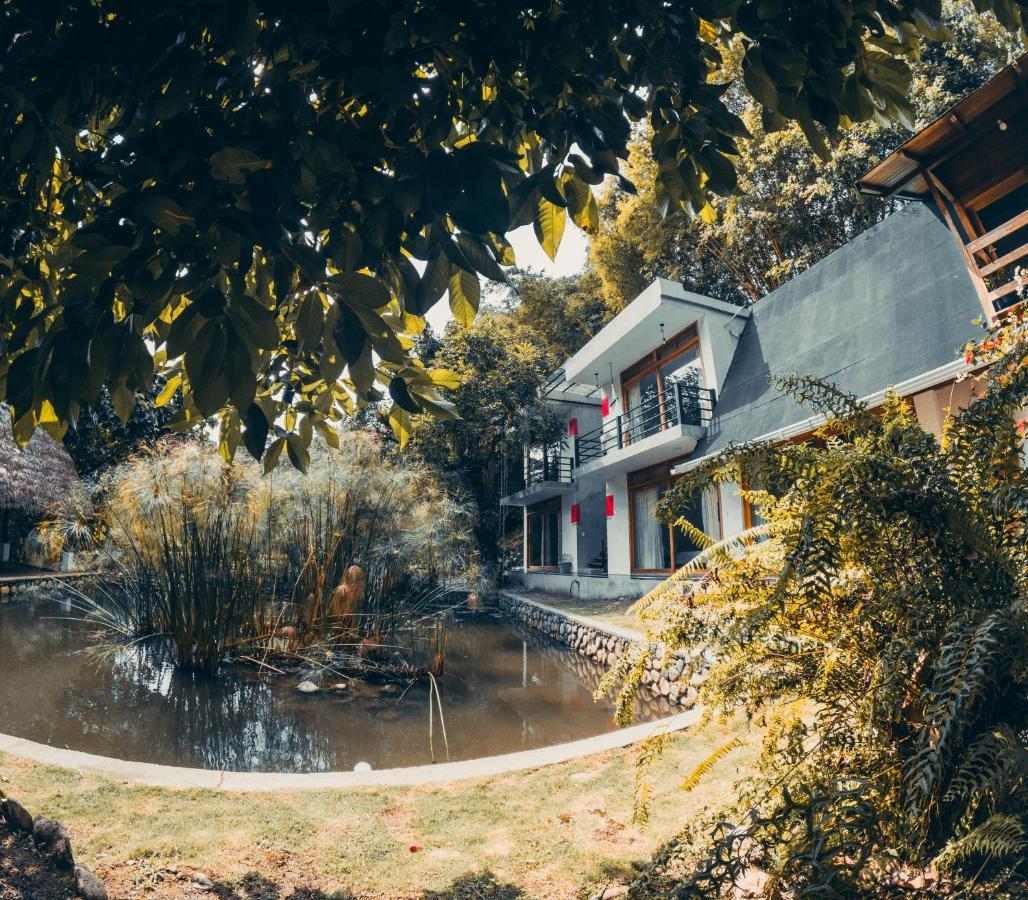 Tagua Lodge เตนา ภายนอก รูปภาพ