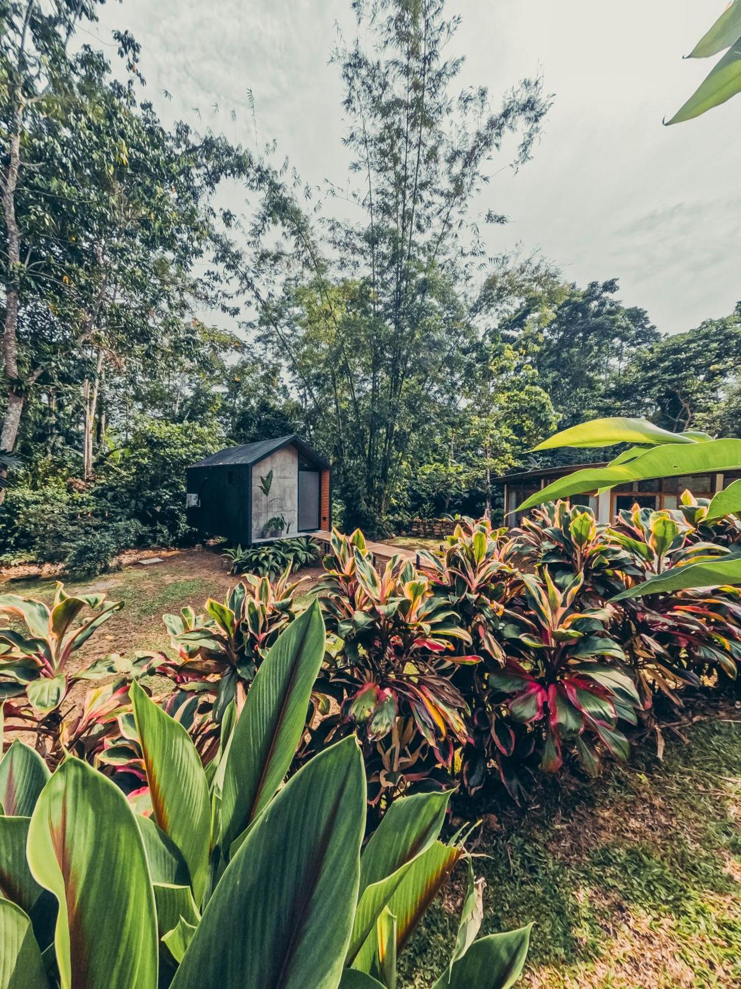 Tagua Lodge เตนา ภายนอก รูปภาพ