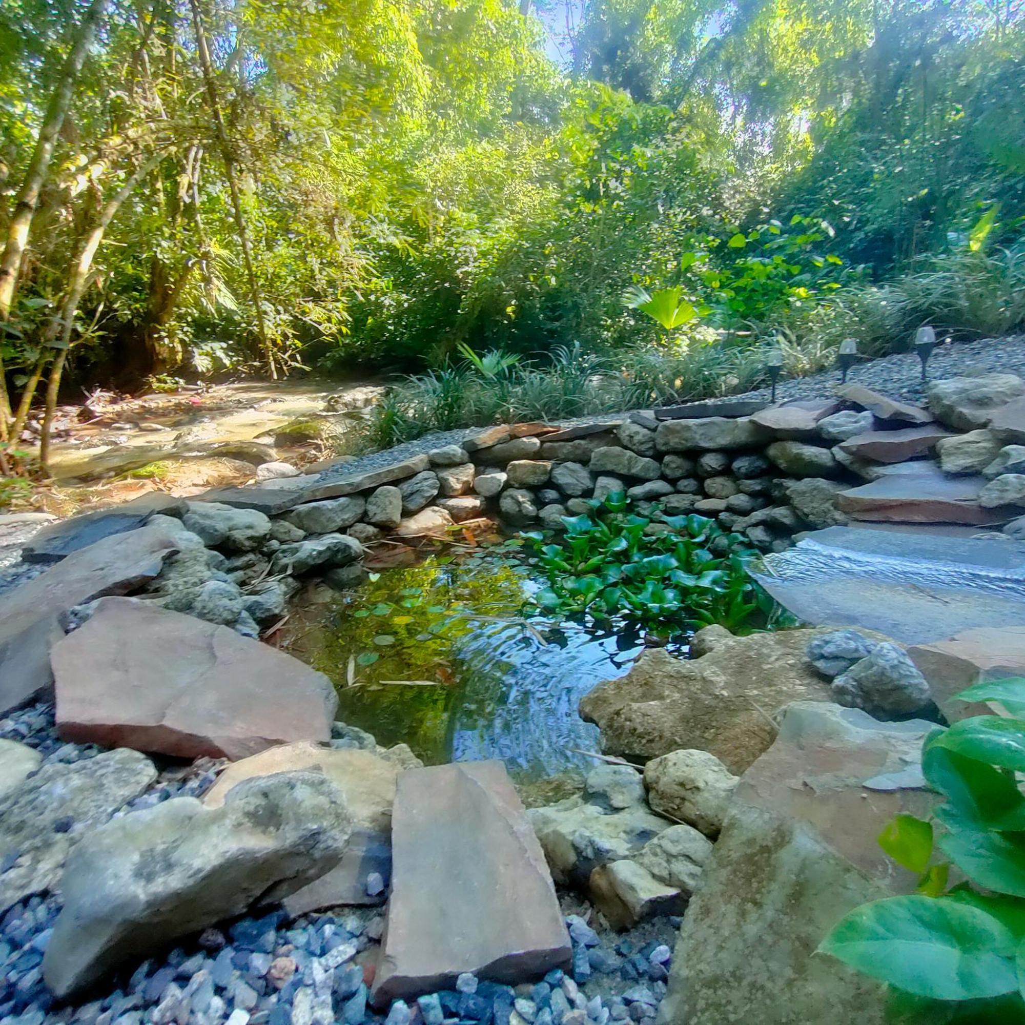 Tagua Lodge เตนา ห้อง รูปภาพ